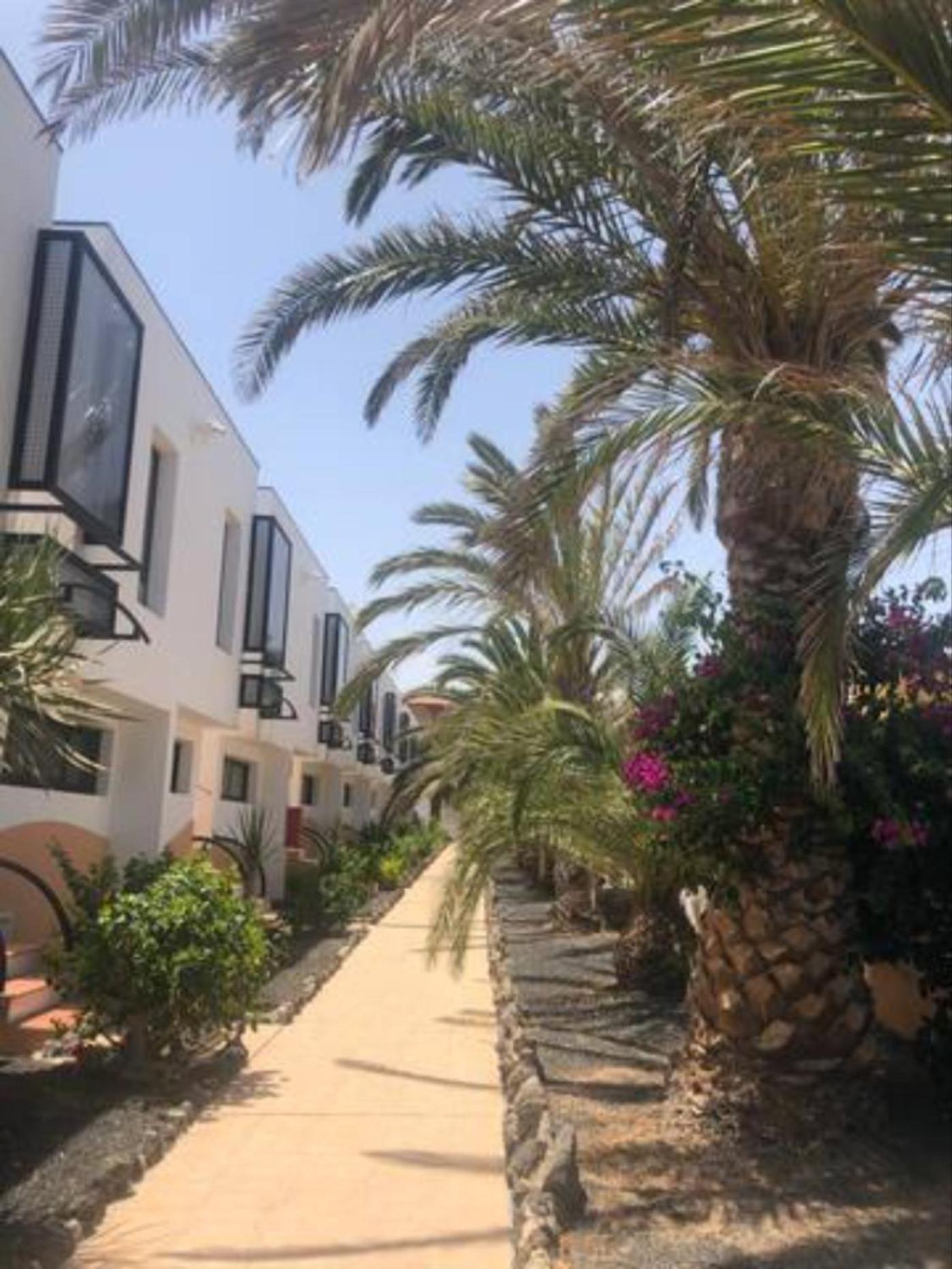 Apartamento Happyness Complex Amaya Fuerteventura 코스타 데 안티과 외부 사진